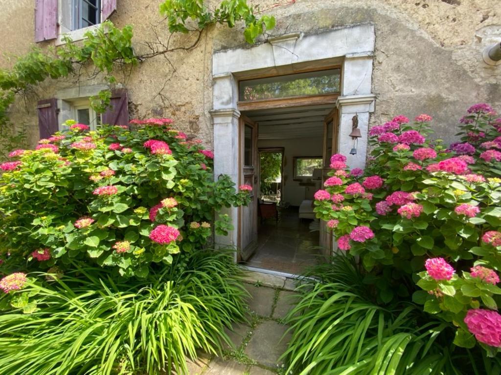 Maison D'Hotes-Maison Castaings Lucq-de-Bearn Exterior photo
